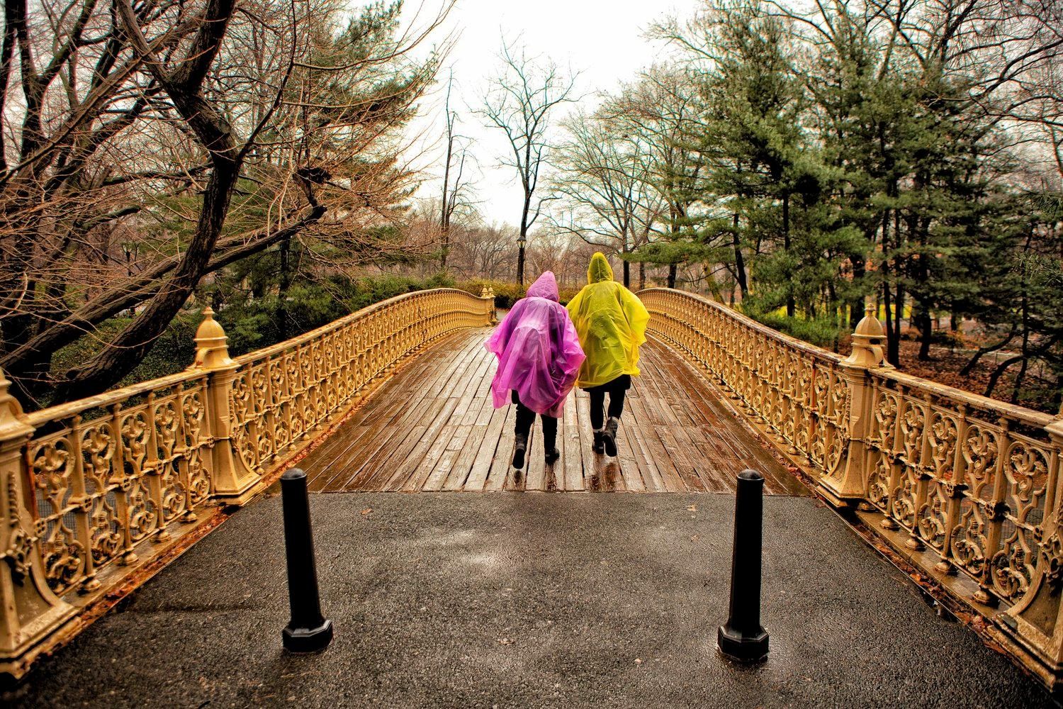 Peter Rodger - Photographer & Director