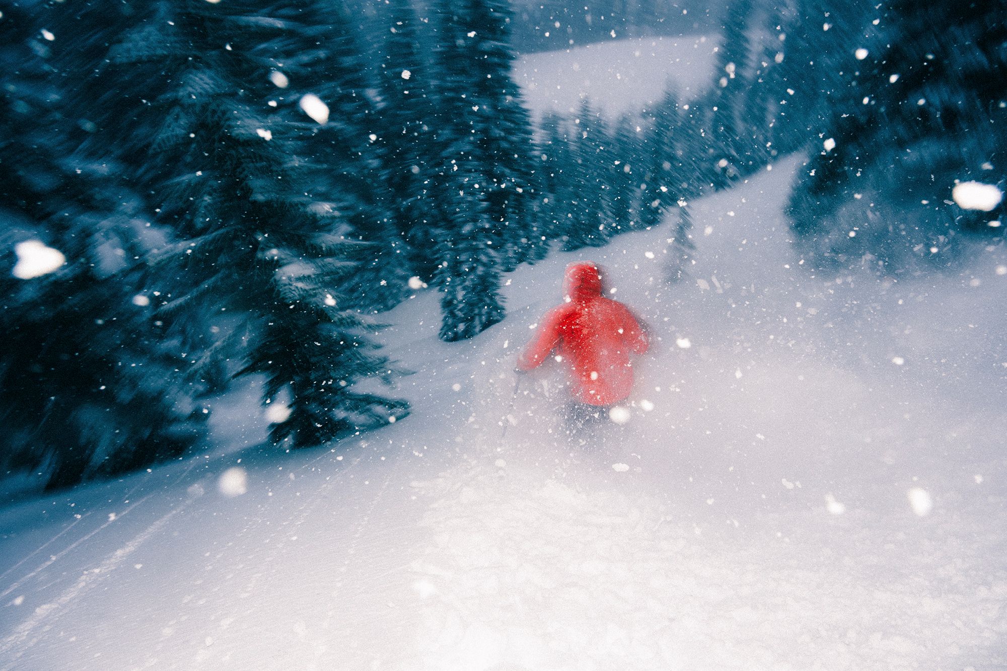 Into the Heart of the Storm