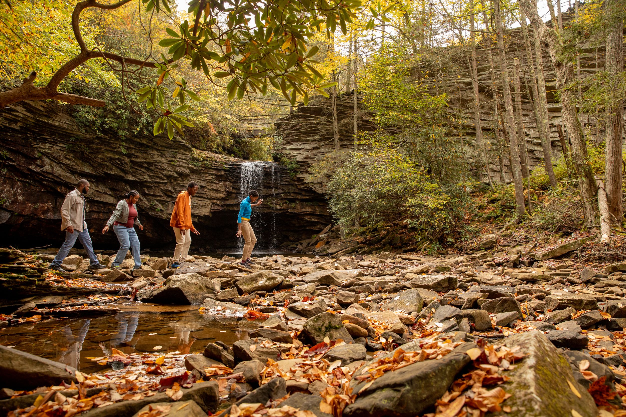 The Hidden Gem in the Hills